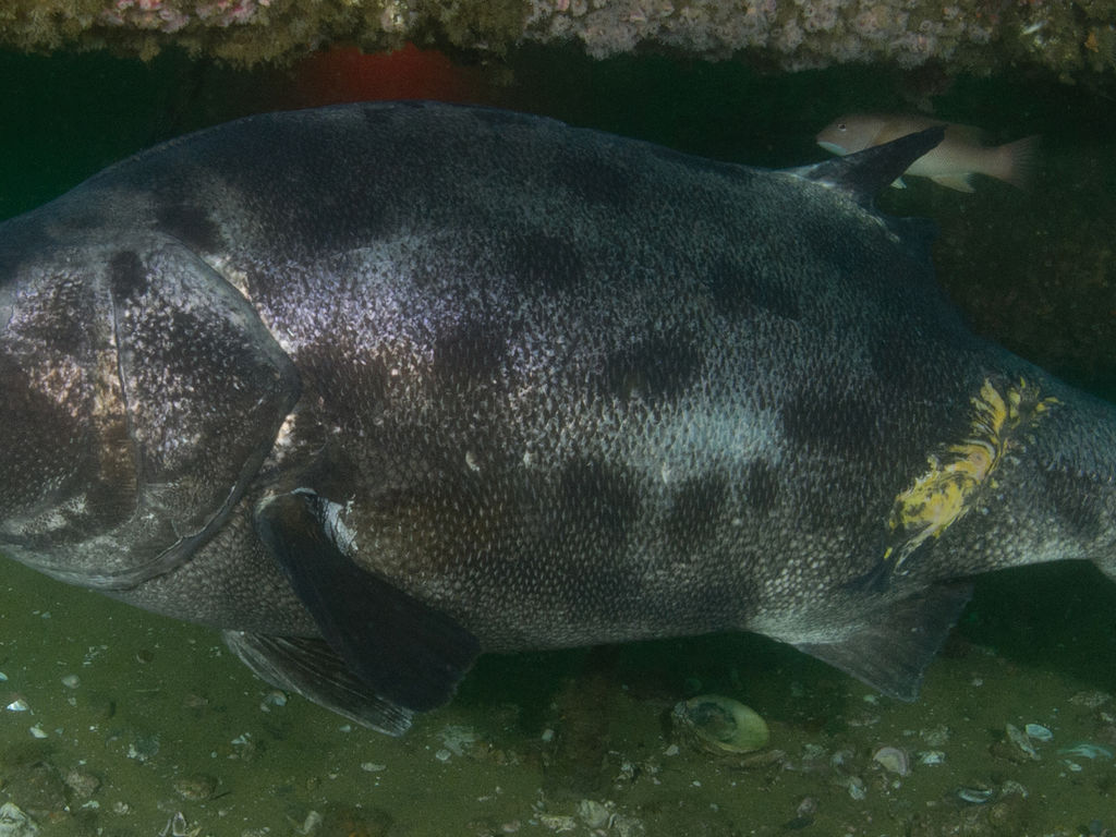 da71ed3f-c769-4502-a7d5-f4afbada81cd