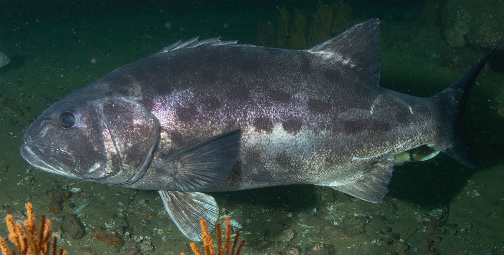 ba99bec4-876b-4602-885c-993470856497