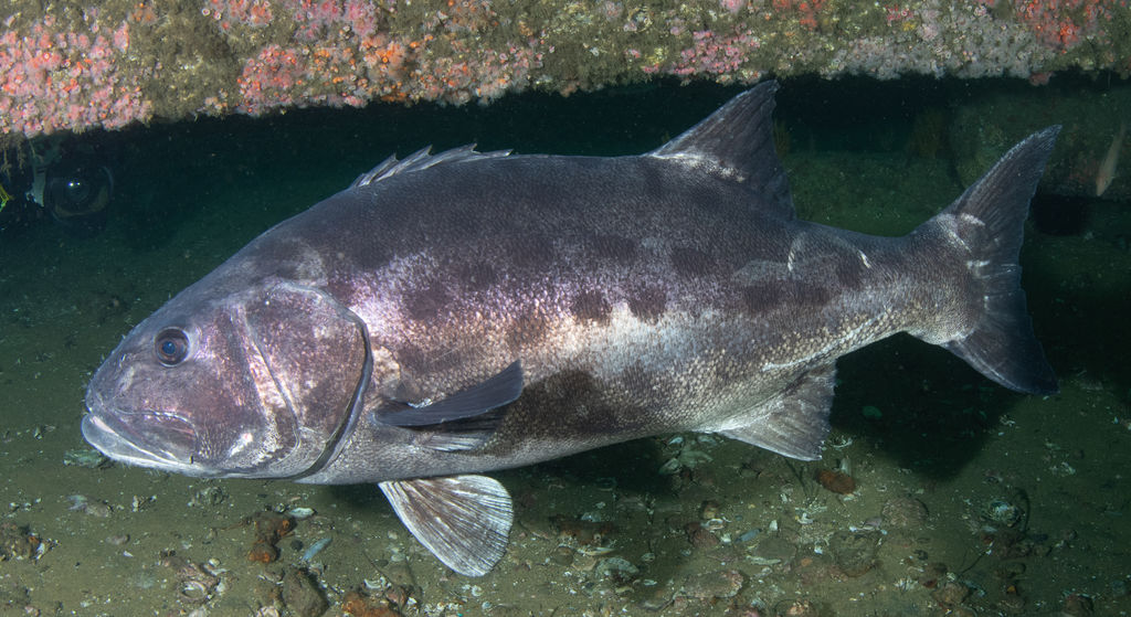 ba99bec4-876b-4602-885c-993470856497