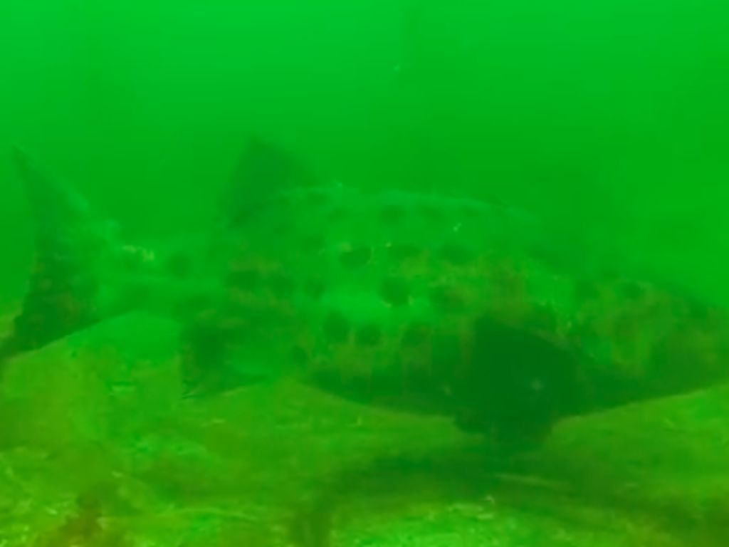 aa900ed9-2c86-4b9f-af82-63b4eccb14e9