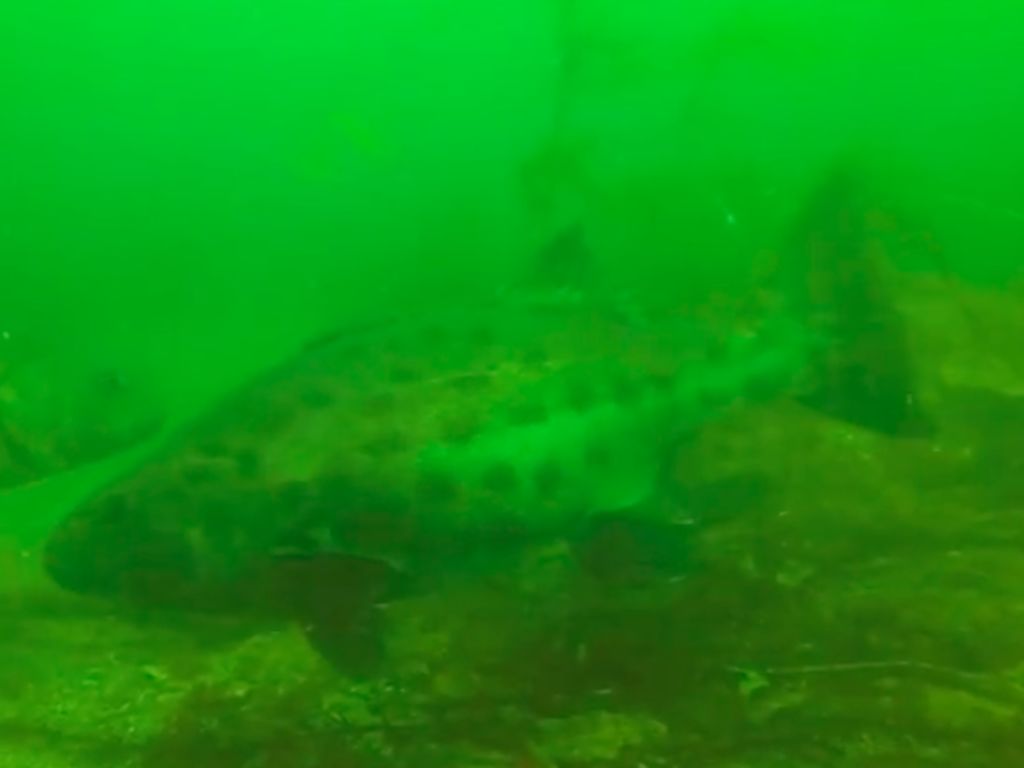 aa900ed9-2c86-4b9f-af82-63b4eccb14e9