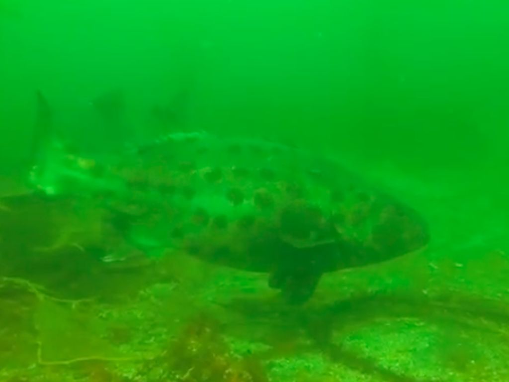 aa900ed9-2c86-4b9f-af82-63b4eccb14e9