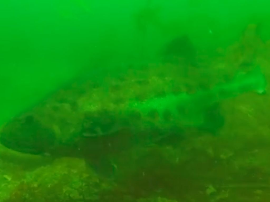 aa900ed9-2c86-4b9f-af82-63b4eccb14e9