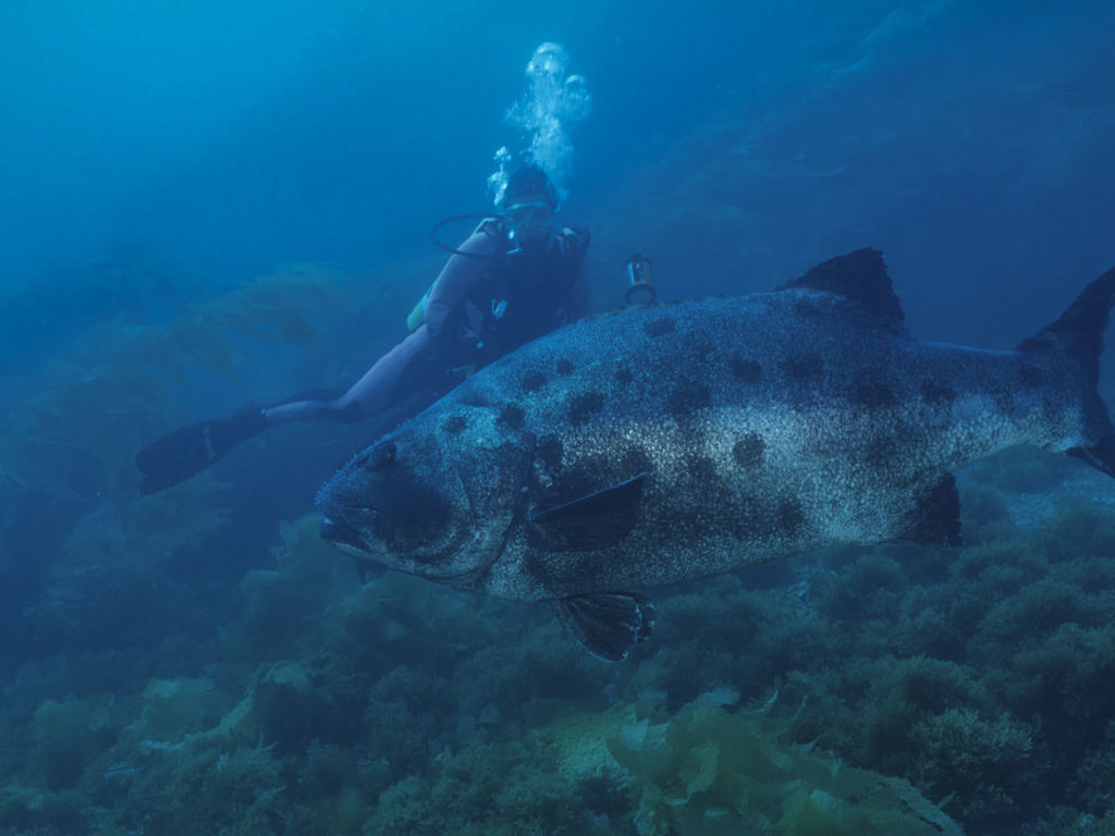 edb30575-6eaa-4862-8564-6f77158a8d7c