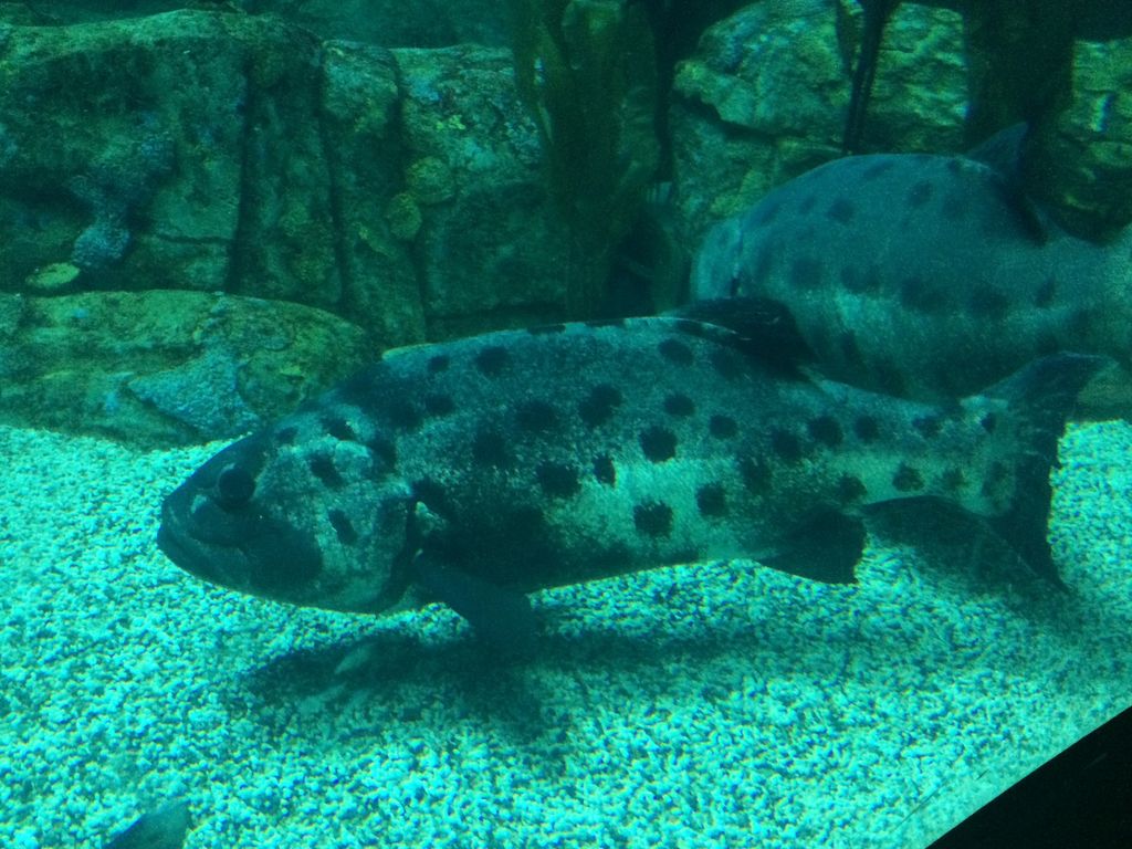 0ad09d61-f1e2-4640-a302-02156f60721a